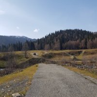 АБХАЗИЯ :: Tata Wolf