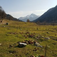 АБХАЗИЯ :: Tata Wolf