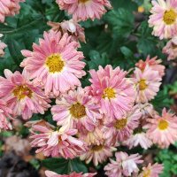 ,,, :: Сергей Тимоновский