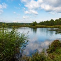 Лето :: Петр 