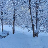 В зимнем парке так бело, так бело.... :: Татьяна Лютаева