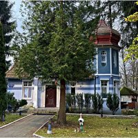 Прогулка по ноябрьскому Светлогорску. :: Валерия Комова