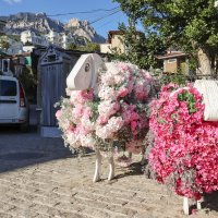 Алупка :: skijumper Иванов