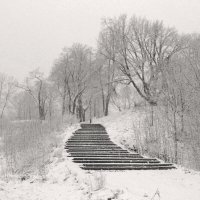 *** :: Сергей Григорьев