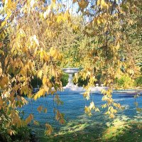 Осень :: Сапсан 