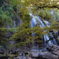 Природа Крыма :: Amazing Cosmea