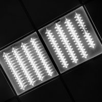 * :: Василий Палий