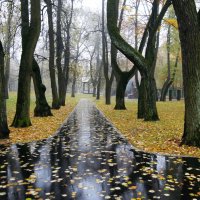 Старый парк в октябре :: ZNatasha -