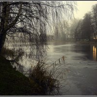 Утро туманное... :: Aleksandr Gal