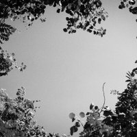 Фотография :: Денис Безногов