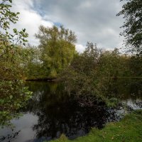 Первые дни ноября... :: Николай Гирш