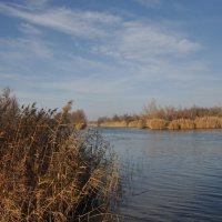 **** :: Виктор 