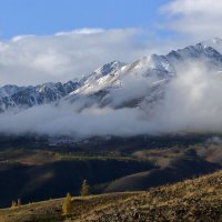 *** :: владимир 