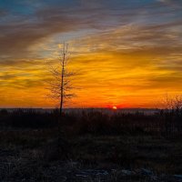 *** :: Яна Горбунова