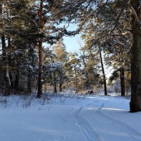 Утро :: Радмир Арсеньев