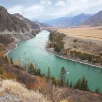 Бирюзовая Катунь :: елена беликова