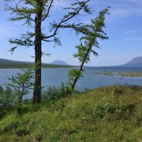 *** :: Александр Хаецкий *** :: Александр Хаецкий