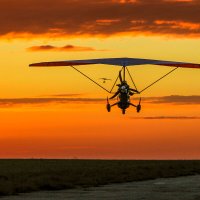 Полеты на закате. :: Сергей Воротников