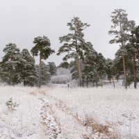 ... :: Олег Архипов