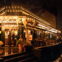 Калининград :: Лилия .