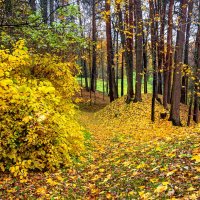 Парк музея-заповедника «Щелыково». :: Ольга Довженко