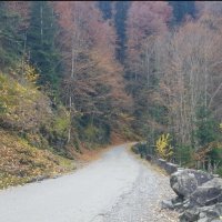 Абхазия :: Tata Wolf