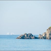 Море :: **** vedin