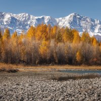 Курай :: Sergey38 