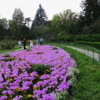 в парке :: Елена Шаламова