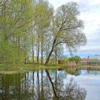 Скоро упадет... :: Ирина *