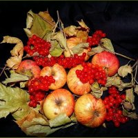 Осенний натюрморт ... :: Валентина Надсон