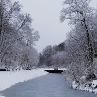Снежный ноябрь :: Рита Симонова