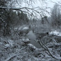 Сумерки. :: Галина Полина