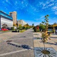 Осень в Омске :: Mikhail Irtyshskiy