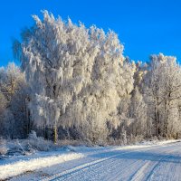 Вологодская зима :: Александр Силинский