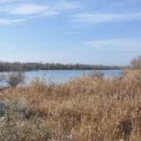 **** :: Виктор 