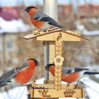 И без тебя тесно. :: Татьяна Бравая