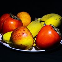 108 :: Василий Палий