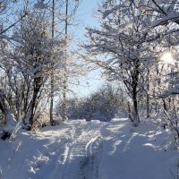 Мороз и солнце!!! :: Радмир Арсеньев