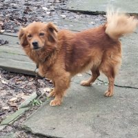 Взгляд с укоризной... :: Наталья