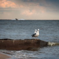 Мы с Тамарой ходим парой :: Ирина