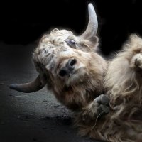 як :: Михаил Бибичков