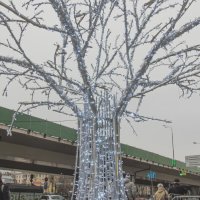 Прогулки по Москве :: Сергей Данилов