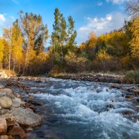 Осеннее... :: Сергей Мурзин