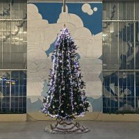 Это наша ёлка :: Дмитрий Никитин