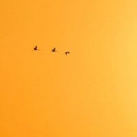 Полёт к обнаженному солнцу! :: Александр Деревяшкин