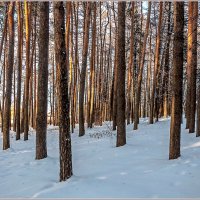 Про зиму... :: Aquarius - Сергей