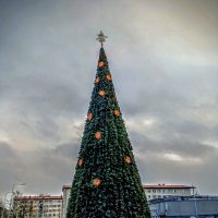 Предпразничная зарисовка :: Veera V