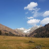 Абхазия :: Tata Wolf