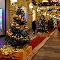 Ёлки на красной дорожке. :: Татьяна Помогалова